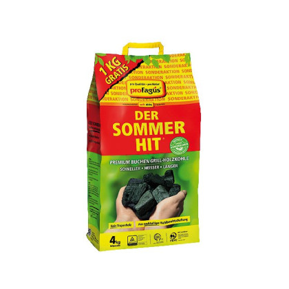 Sommer-Hit Grillholzkohle 4 Kg zum 3 Kg Preis  PALETTE