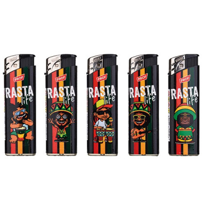 Prof Elektro-Fzg "Rasta Life"